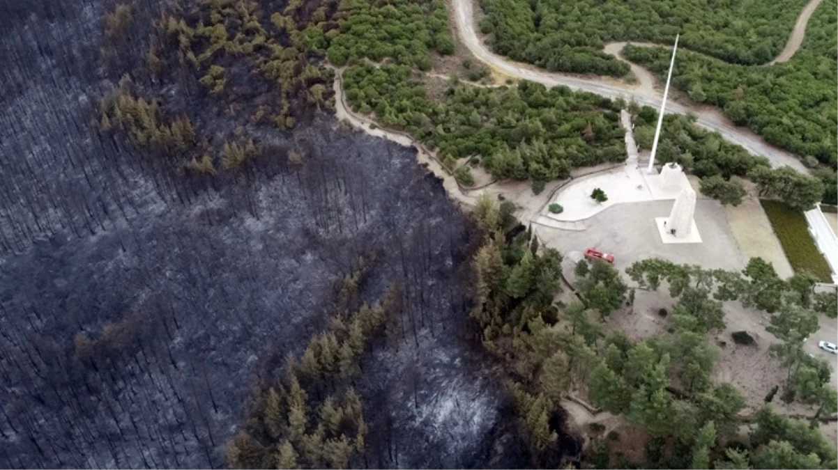 Çanakkale’de orman yangını sonucu bir günde yaşanan kayıp gözler önüne serildi