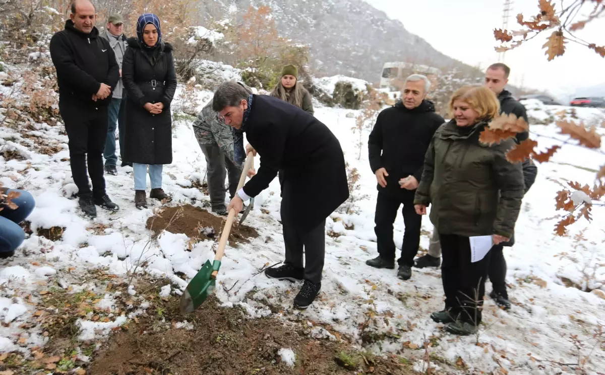 Yitik Lale 132 Yıl Sonra Amasya’ya Kavuştu